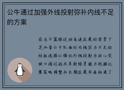 公牛通过加强外线投射弥补内线不足的方案