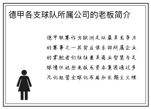 德甲各支球队所属公司的老板简介